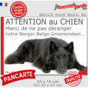 Plaque humour "Attention au Chien, Merci de ne pas déranger notre Groenendael" 2 Tailles D