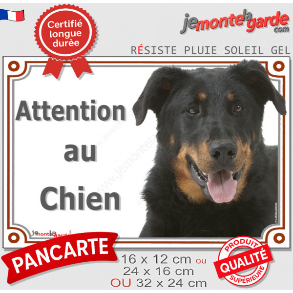 Berger de Beauce noir et feu tête, plaque portail extérieure "Attention au Chien" pancarte Beauceron photo