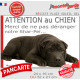 Plaque portail humour extérieure "Attention au Chien, Merci de ne pas déranger notre Shar-Peï" Photo drôle fatigué noir chocolat