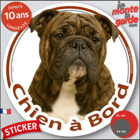 Bulldog Anglais bringé Tête , sticker autocollant rond "Chien à Bord" Disque photo adhésif voiture auto, résiste pluie soleil ge