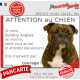 Bulldog Anglais bringé, plaque portail humour "Attention au Chien, Jetez Vous au Sol, attendez secours, courage" photo