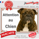 Bulldog Anglais bringé, plaque portail extérieure "Attention au Chien" pancarte photo résiste intempéries
