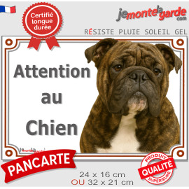 Bulldog Anglais bringé, plaque portail "Attention au Chien" photo, résiste pluie soleil gel, idée cadeau