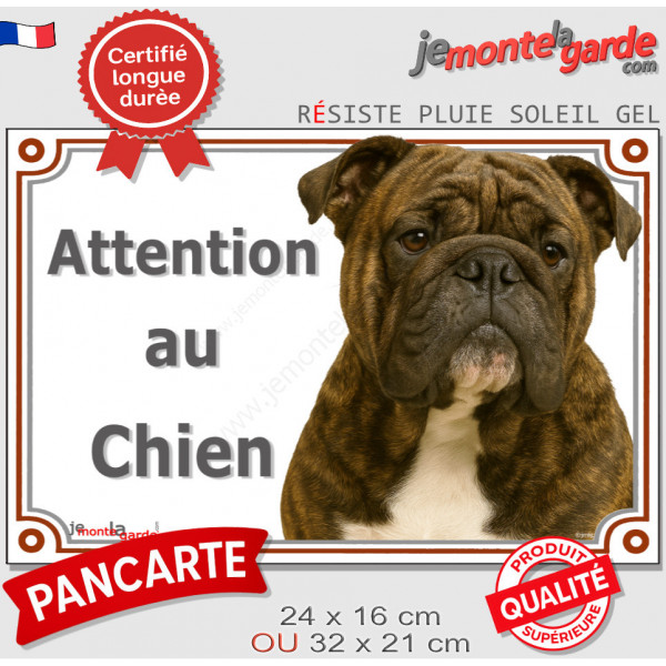 Bulldog Anglais bringé, plaque portail extérieure "Attention au Chien" pancarte photo résiste intempéries