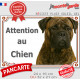 Bullmastiff Bringé Tête, Plaque portail extérieure "Attention au Chien" photo résiste intempéries pancarte