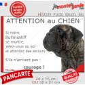 Bullmastiff bringé, plaque humour "Attention au Chien, Jetez Vous au Sol" 2 tailles JET D