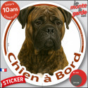 Bullmastiff bringé, sticker voiture rond photo "Chien à Bord" 2 tailles D