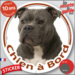American Bully gris bleu, sticker autocollant voiture rond "Chien à Bord" Disque adhésif photo résiste intempéries