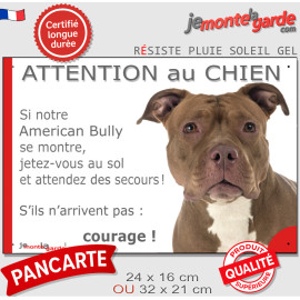 American Bully red Nose, plaque portail humour "Attention au Chien, Jetez Vous au Sol, attendez secours" photo, résiste pluie so