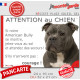 American Bully gris bleu, plaque extérieure humour "Attention au Chien, Jetez Vous au Sol, attendez secours" photo portail