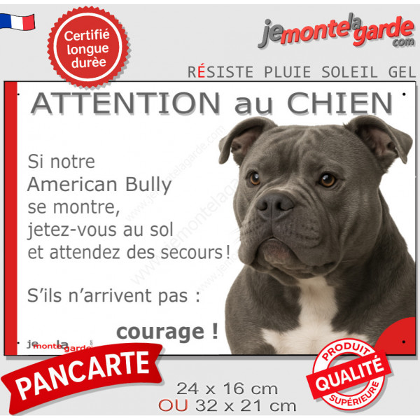 American Bully gris bleu, plaque extérieure humour "Attention au Chien, Jetez Vous au Sol, attendez secours" photo portail