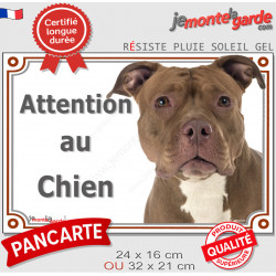 American Bully red nose Tête, plaque portail extérieure "Attention au Chien" pancarte photo résiste intempéries