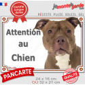 American Bully red nose, plaque extérieure "Attention au Chien" 2 tailles LUX D