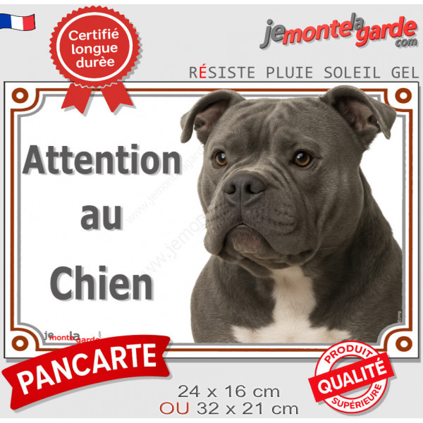 American Bully bleu gris Tête, plaque portail extérieure "Attention au Chien" pancarte photo résiste intempéries