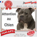 American Bully gris bleu, plaque extérieure "Attention au Chien" 2 tailles LUX D