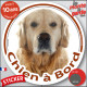 Golden Retriever Tête, sticker autocollant rond "Chien à Bord" Disque adhésif vitre voiture photo résiste intempéries