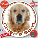 Golden Retriever, sticker voiture rond "Chien à Bord" 2 tailles D