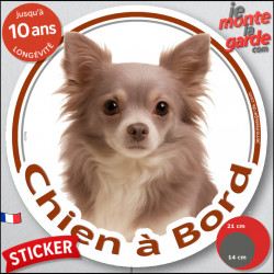 Chihuahua lilas dilué à poils longs, sticker autocollant rond "Chien à Bord" Disque photo adhésif vitre voiture