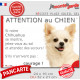 Chihuahua tout blanc à poils longs, plaque portail humour "Attention au Chien, Jetez Vous au Sol, attendez secours" photo