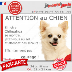 Chihuahua tout blanc à poils longs, plaque portail humour "Attention au Chien, Jetez Vous au Sol, attendez secours" photo