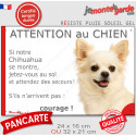Chihuahua blanc poils longs, plaque humour "Attention au Chien, Jetez Vous au Sol, courage" 2 tailles JET
