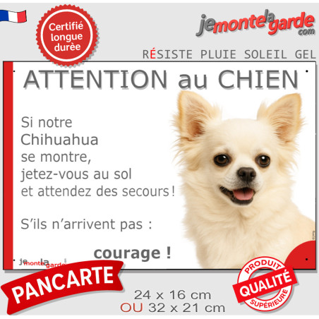 Chihuahua blanc poils longs, plaque humour "Attention au Chien, Jetez Vous au Sol, courage" 2 tailles JET