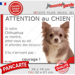 Chihuahua lilas dilué à poils longs, plaque portail humour "Attention au Chien, Jetez Vous au Sol, attendez secours" photo