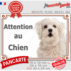 Bichon Maltais, plaque portail extérieure "Attention au Chien" pancarte photo entrée, résiste intempéries