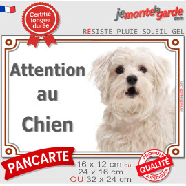 Bichon Maltais, plaque portail photo "Attention au Chien" photo entrée, résiste pluie soleil gel, idée cadeau