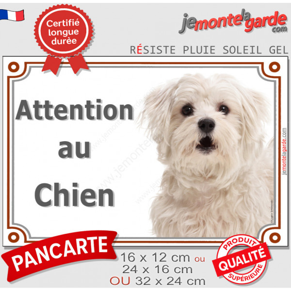 Bichon Maltais, plaque portail extérieure "Attention au Chien" pancarte photo entrée, résiste intempéries
