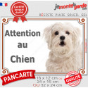 Bichon Maltais, plaque portail photo "Attention au Chien" 3 tailles LUX D