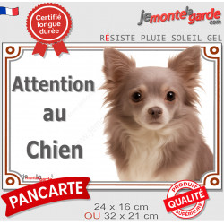 Chihuahua lilas dilué à poils longs, plaque portail "Attention au Chien" pancarte photo Chiwawa résiste intempéries