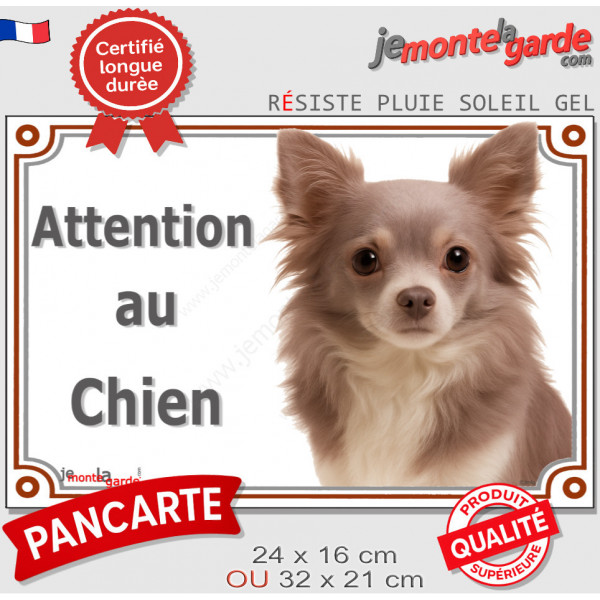Chihuahua lilas dilué à poils longs, plaque portail "Attention au Chien" pancarte photo Chiwawa résiste intempéries