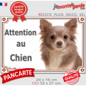 Chihuahua lilas poils longs, plaque portail "Attention au Chien" 2 tailles LUX D