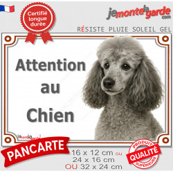 Caniche gris clair Tête, Plaque portail photo extérieure "Attention au chien" résiste pluie soleil gel
