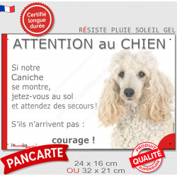 Caniche blanc, plaque portail humour "Attention au Chien, Jetez Vous au Sol, attendez secours, courage" photo résiste intempérie