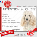 Caniche blanc, plaque portail humour "Attention au Chien, Jetez Vous au Sol" 2 tailles JET D