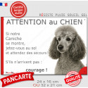 Caniche gris, plaque portail humour "Attention au Chien, Jetez Vous au Sol" 2 tailles JET D
