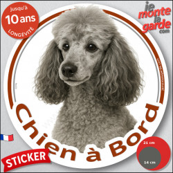 Caniche gris clair, disque autocollant photo "Chien à Bord" Sticker adhésif Caniche nain résiste intempéries