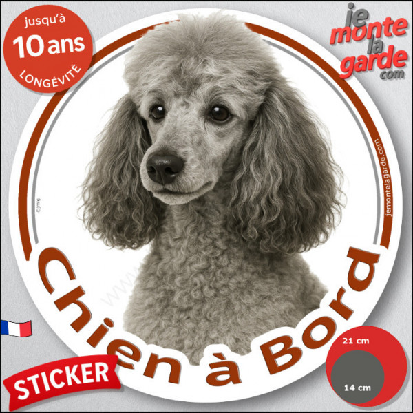 Caniche gris clair, disque autocollant photo "Chien à Bord" Sticker adhésif Caniche nain résiste intempéries