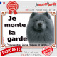 Chow-Chow gris bleu Tête, plaque portail "Je Monte la Garde, entrez à vos risques et périls" photo résiste intempéries