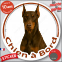 Dobermann marron, sticker voiture rond photo "Chien à Bord" 2 tailles D