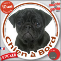 Carlin Noir, sticker voiture rond photo "Chien à Bord" 2 tailles D