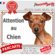 Pinscher Fauve marron Tête, Plaque portail extérieure "Attention au Chien" photo race résiste intempéries