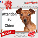 Pinscher Fauve, plaque portail extérieure photo "Attention au Chien" 3 tailles LUX D