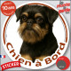 Griffon Belge noir et feu, sticker autocollant rond "Chien à Bord" disque photo adhésif vitre voiture résiste intempéries