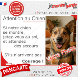 Photo Personnalisable, plaque portail humour "Attention au Chien, Jetez-Vous au Sol, Attendez secours, Courage" résiste soleil