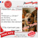 Photo Personnalisable, plaque portail humour "Attention au Chien, Jetez-Vous au Sol, Attendez secours, Courage" avec prénom