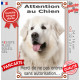 Montagne des Pyrénées tout blanc, plaque portail verticale Attention au Chien, interdit sans autorisation" pancarte photo