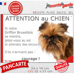 Griffon Bruxellois rouge, plaque portail humour "Attention au Chien, Jetez Vous au Sol attendez secours, courage" photo 